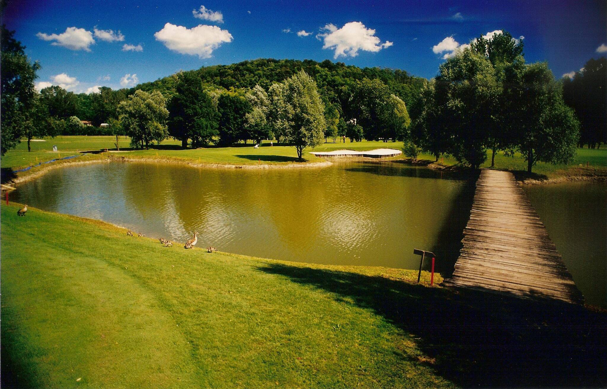 Ambiente Golf Frassanelle